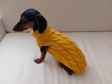 Knitted sweater with aran for mini dachshund or small dog dachshundknit