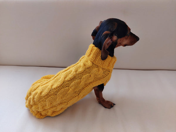 Knitted sweater with aran for mini dachshund or small dog dachshundknit