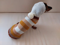 Hooded Dog Sweater, Sweater with hood for dachshund or small dog, sweatshirt knitted for dog dachshundknit