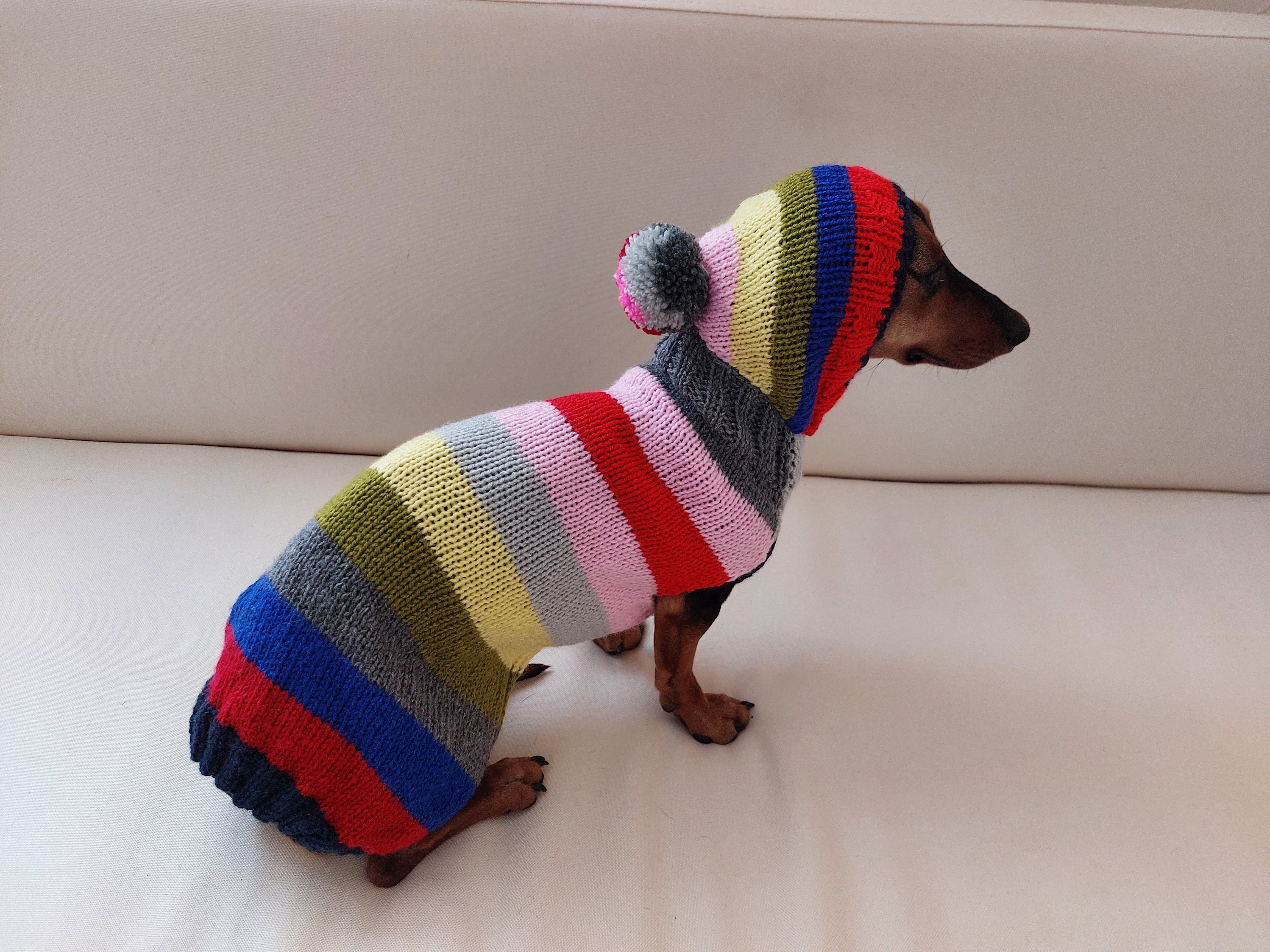 Miniature best sale dachshund hoodies