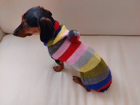 Hoodie  for dog, hoodie for miniature dachshund dachshundknit