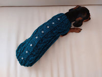 Christmas sweater with stars for dog dachshundknit