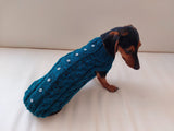 Christmas sweater with stars for dog dachshundknit