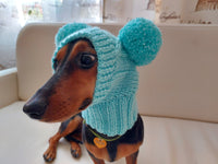 Blue hat with two pom poms for dog dachshundknit