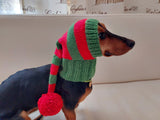 Christmas winter hat for dog or cat, elf hat for dachshund dachshundknit
