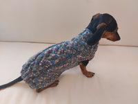 Wool dog jumper,dachshund cloches wool sweater dachshundknit