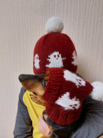 Halloween Hat Set Mom & Dog | Matching winter hat set for dog and owner, gift for mom dad and dog, puppy parents gift,set for owner and pet dachshundknit