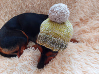 Winter gray hat with big pompom for small dog, hat for dachshund with pompom dachshundknit