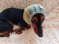 Snood scarf wool for dog handmade, Knitted Warm Wool Pet Snood Scarf, Dog Snood Scarf Clothes, Christmas dog, Winter Dog Accessories dachshundknit