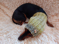 Snood scarf wool for dog handmade, Knitted Warm Wool Pet Snood Scarf, Dog Snood Scarf Clothes, Christmas dog, Winter Dog Accessories dachshundknit
