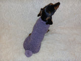 Sweater with pompom for dachshund puppy or small dog knitted of angora wool handmade. dachshundknit