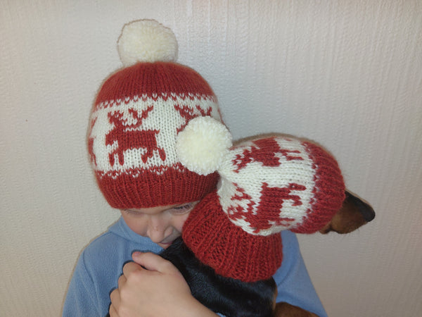 Christmas deer matching outfit set of hats for mom and dog dachshundknit