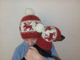 Christmas deer matching outfit set of hats for mom and dog dachshundknit