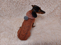 Hooded Dog Sweater, Sweater with hood for dachshund or small dog, sweatshirt knitted for dog dachshundknit