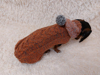 Hooded Dog Sweater, Sweater with hood for dachshund or small dog, sweatshirt knitted for dog dachshundknit