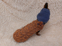 Clothes for dachshund or small dog hoodie dachshundknit