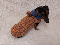 Clothes for dachshund or small dog hoodie dachshundknit