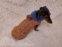 Clothes for dachshund or small dog hoodie dachshundknit