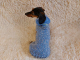 Winter wool coat with hood for dachshund or small dog dachshundknit