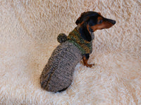 Winter wool coat with hood for dachshund or small dog. dachshundknit