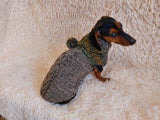 Winter wool coat with hood for dachshund or small dog. dachshundknit