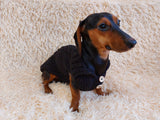 Warm winter sweater for small dogs, dog clothes, sweater for small dogs, clothes knitted sweater, knitted wool sweater for  small dog dachshundknit