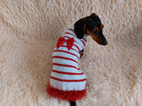 Red and white pet sweater with a bow, clothes with a bow for a mini dachshund dachshundknit