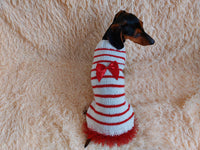 Red and white pet sweater with a bow, clothes with a bow for a mini dachshund dachshundknit