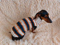 Dachshund clothes knitted sweater, knitted wool sweater for dachshund or small dog dachshundknit