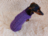 Warm knitted jumper for small dogs,dachshund clothes knitted sweater, knitted wool sweater for dachshund or small dog dachshundknit