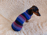 Sweater for small dog or dachshund puppy knitted angora wool handmade dachshundknit