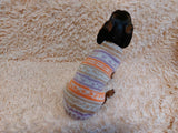 Bright sweater for a petite dachshund, Dachshund Sweater, Dog Clothes, Dog sweater, Dachshund clothes, Wiener dog clothes, Winter dog sweater dachshundknit