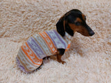Bright sweater for a petite dachshund, Dachshund Sweater, Dog Clothes, Dog sweater, Dachshund clothes, Wiener dog clothes, Winter dog sweater dachshundknit