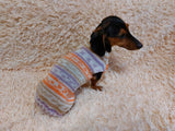 Bright sweater for a petite dachshund, Dachshund Sweater, Dog Clothes, Dog sweater, Dachshund clothes, Wiener dog clothes, Winter dog sweater dachshundknit