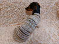 Bright sweater for a petite dachshund, Pet clothes patterned sweater,dachshund clothes sweater dachshundknit