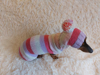 Dog set Sweater and hat, Sweater with for dachshund or small dog, sweatshirt knitted for dog dachshundknit