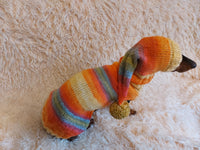 Dachshund clothes knitted suit sweater and hat, wiener costume sweater and hat dachshundknit