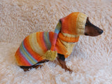 Dachshund clothes knitted suit sweater and hat, wiener costume sweater and hat dachshundknit