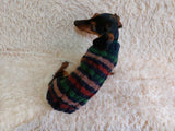 Stripes knitted dog sweater, striped dog jumper, dog clothes knitted striped sweater for dachshund dachshundknit