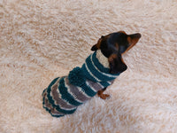Sweatshirt winter coat for dogs, jumper for dachshunds, hoodies for pets dachshundknit