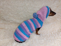 Striped sweatshirt for pets, hoodie for dogs, striped hoodie for dachshund dachshundknit