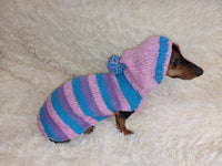 Striped sweatshirt for pets, hoodie for dogs, striped hoodie for dachshund dachshundknit