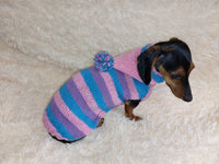 Striped sweatshirt for pets, hoodie for dogs, striped hoodie for dachshund dachshundknit