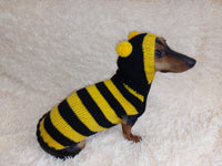 Bee sweatshirt for dog, bee costume for pets, dog hoodie for dachshund dachshundknit