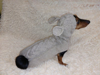 Sweatshirt for pet rabbit dachshundknit