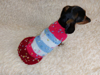 Striped floral bright outfit for a dog with flowers dachshundknit