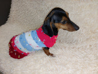 Striped floral bright outfit for a dog with flowers dachshundknit