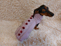 Festive jumper with pom-poms for pets, sweater with pom-poms for dogs dachshundknit