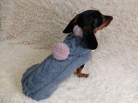 Hooded Dog pet Sweater, Sweater with hood for dachshund or small dog, sweatshirt knitted for dog dachshundknit
