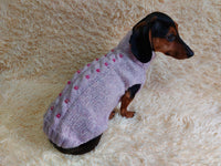 Pet clothes dog jumper with beads,holiday dog clothes,gift for pets dachshundknit